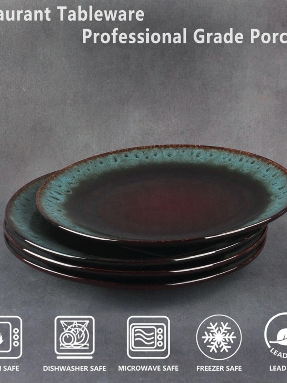 4-Piece Rustic Glazed Porcelain Dinner Plate Set | 10.6" | NEW IN BOX |